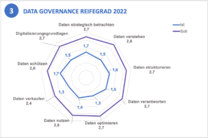 Netzgrafik zu Data-Governance-Reife