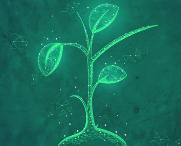 Eine aus elektronisch generierten Linien gezeichnete Pflanze, die die digitale Transformation darstellt