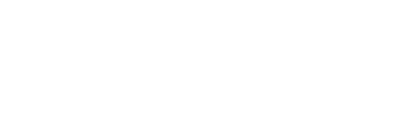Logotype_Eviden_RGB_White